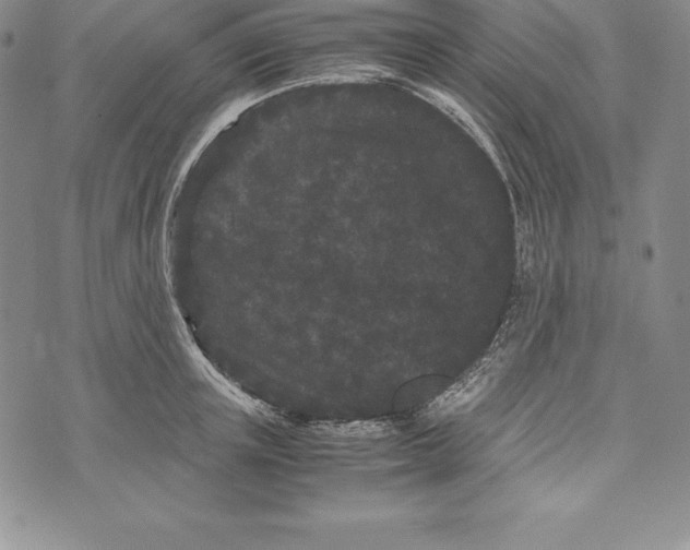 X0000072500851200608041439