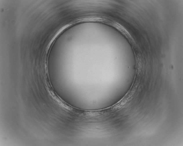 X0000072500852200608041439