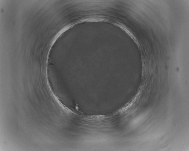 X0000072500853200608041439