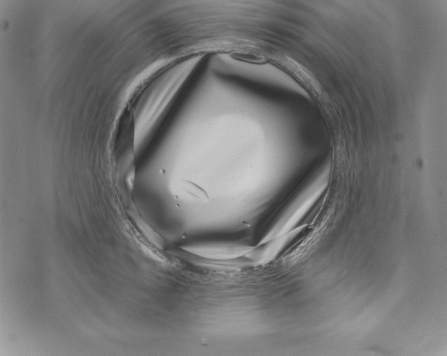 X0000072500854200608041439