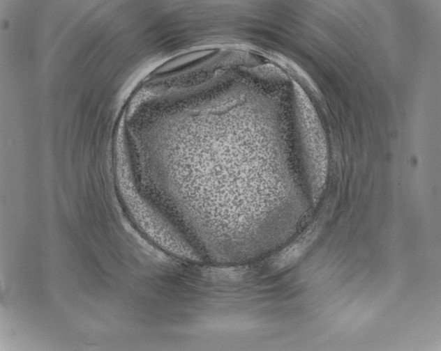 X0000072500855200608041439