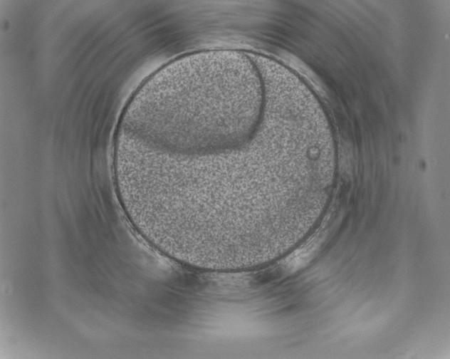 X0000072500856200608041439