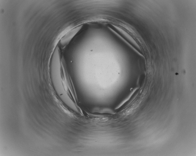 X0000072500858200608041439