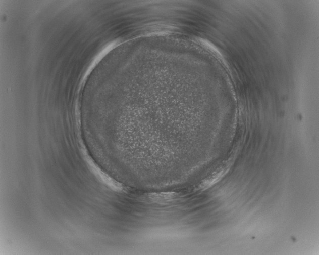 X0000072500859200608041439