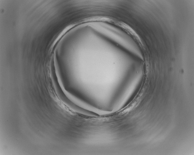 X0000072500860200608041439