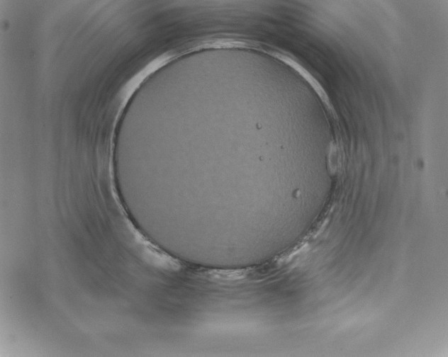 X0000072500861200608041439