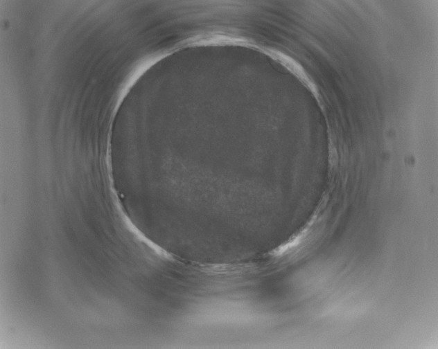 X0000072500863200608041439