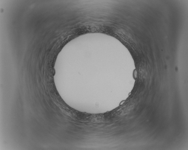 X0000072500865200608041439