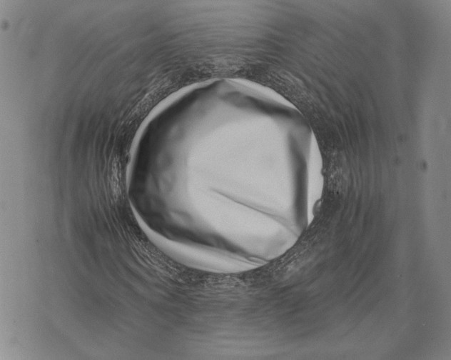 X0000072500866200608041439