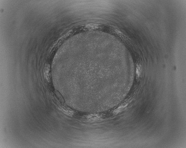 X0000072500867200608041439