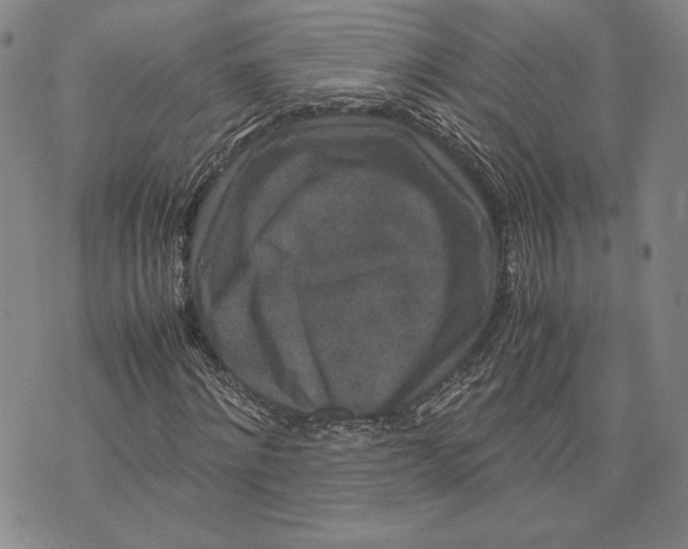 X0000072500868200608041439