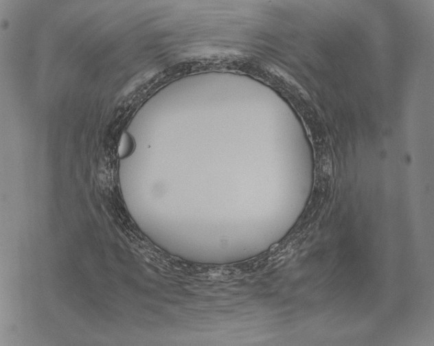 X0000072500869200608041439