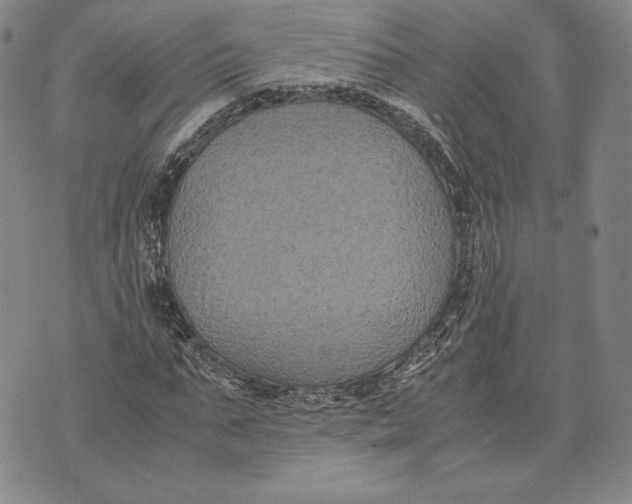 X0000072500871200608041439