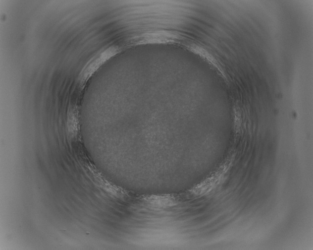 X0000072500874200608041439