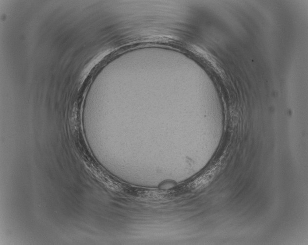 X0000072500875200608041439