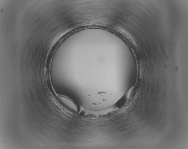 X0000072500876200608041439