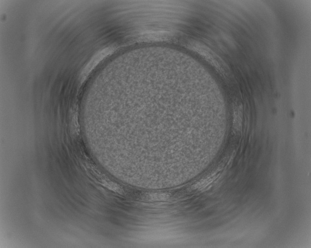 X0000072500878200608041439