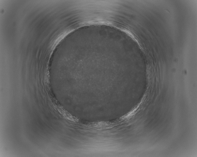 X0000072500879200608041439