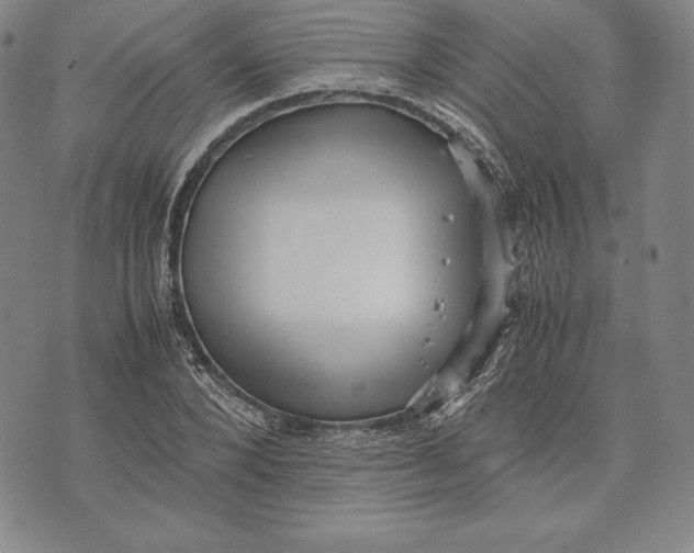 X0000072500880200608041438