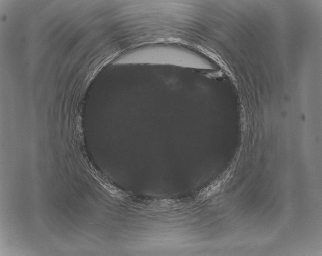 X0000072500881200608041438