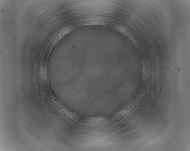 X0000072500882200608041438