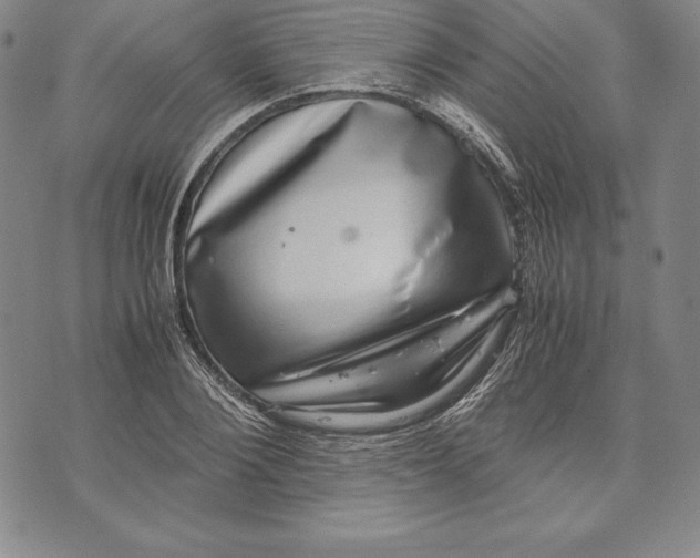 X0000072500884200608041438