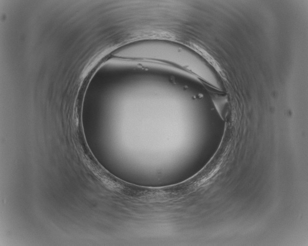 X0000072500885200608041438