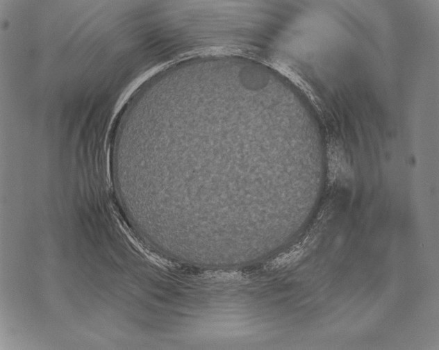 X0000072500886200608041438