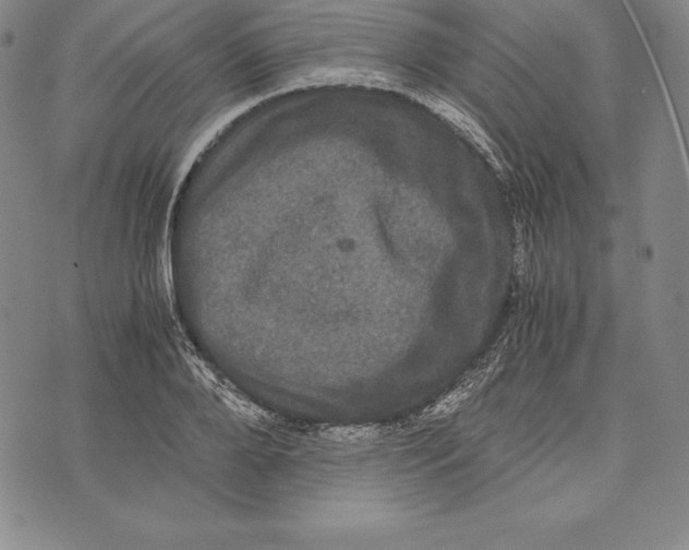 X0000072500888200608041438