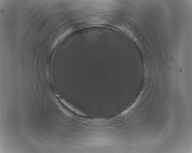 X0000072500889200608041438