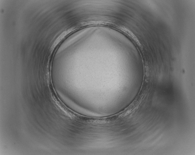 X0000072500890200608041438