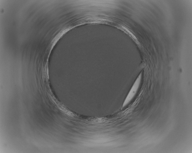 X0000072500891200608041438