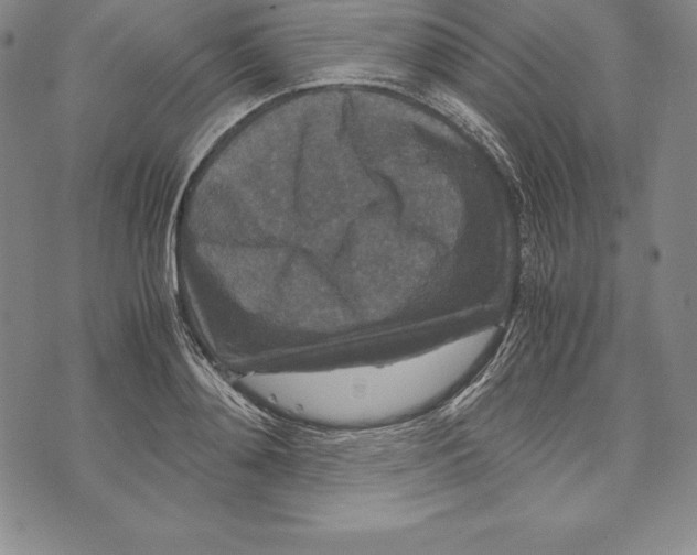 X0000072500892200608041438