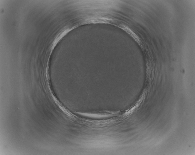 X0000072500893200608041438