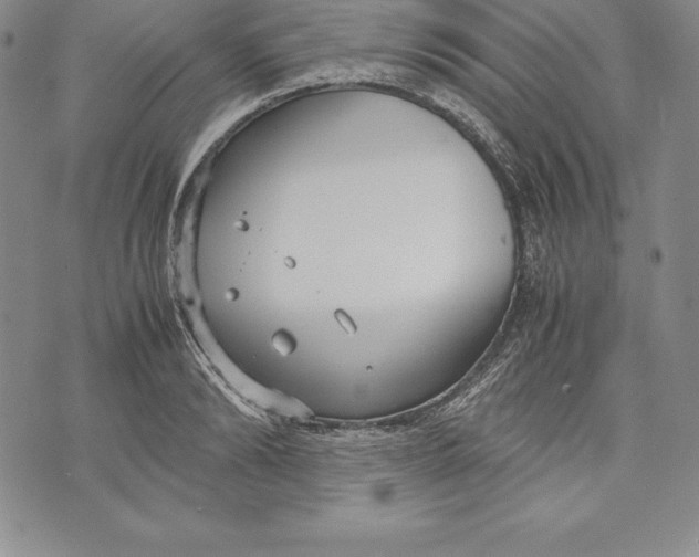 X0000072500894200608041438