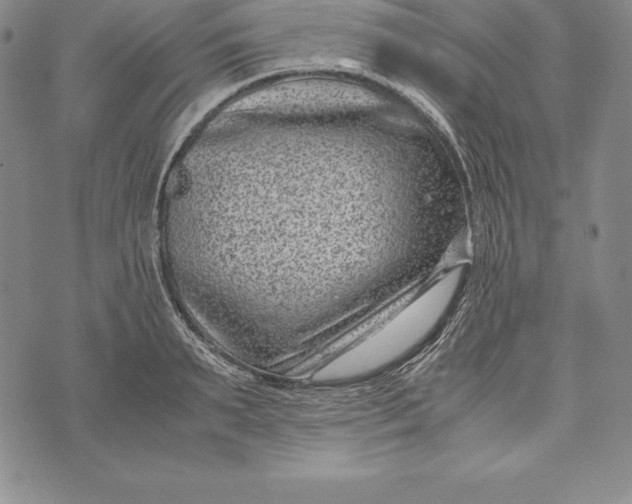 X0000072500895200608041438