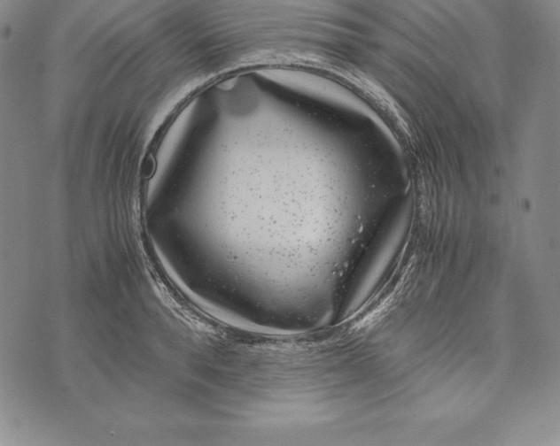 X0000072500896200608041438