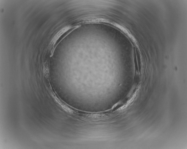 X0000072500897200608041438