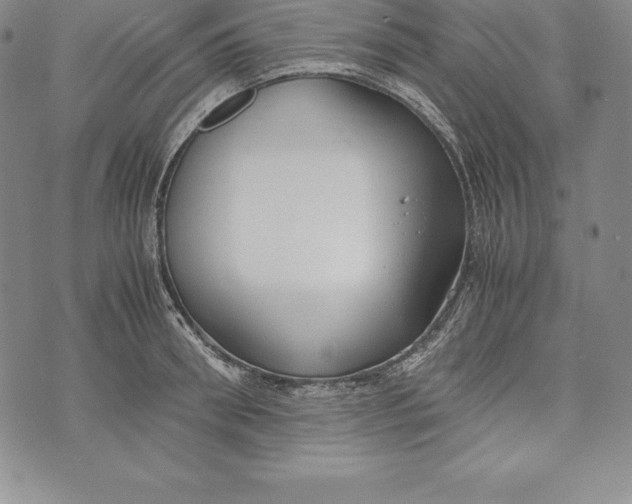 X0000072500898200608041438