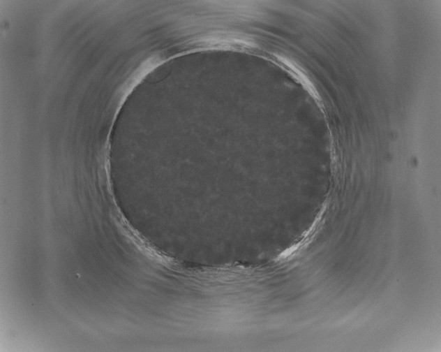 X0000072500899200608041438