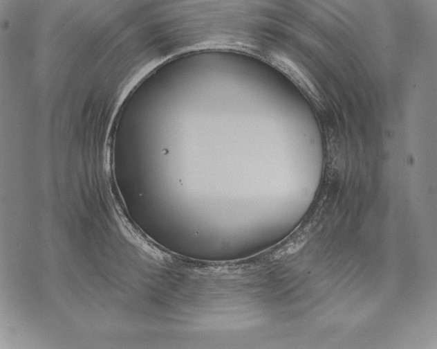 X0000072500900200608041438