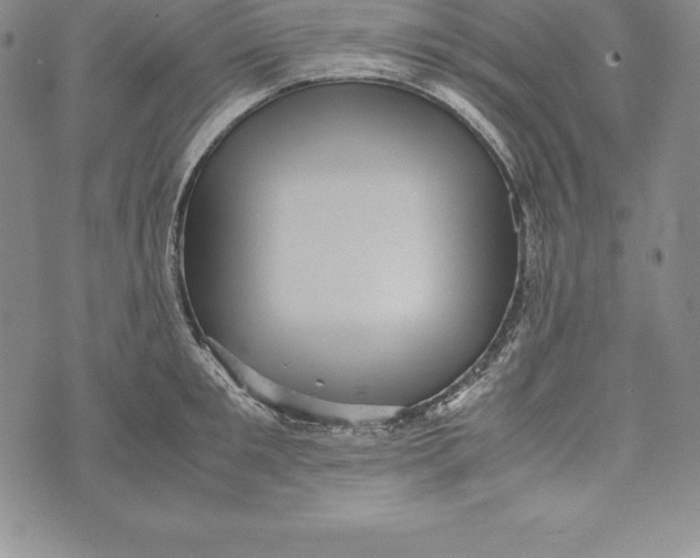 X0000072500901200608041438