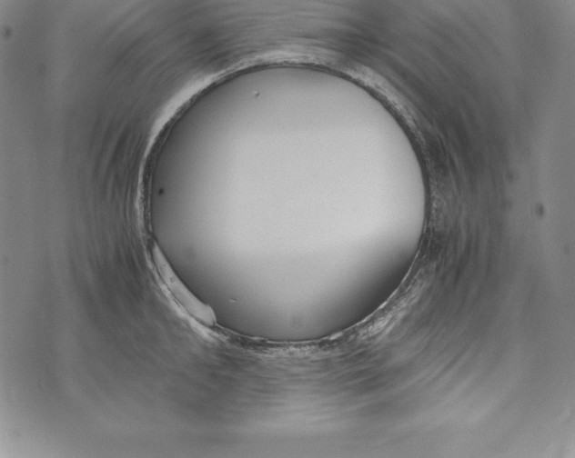 X0000072500902200608041438