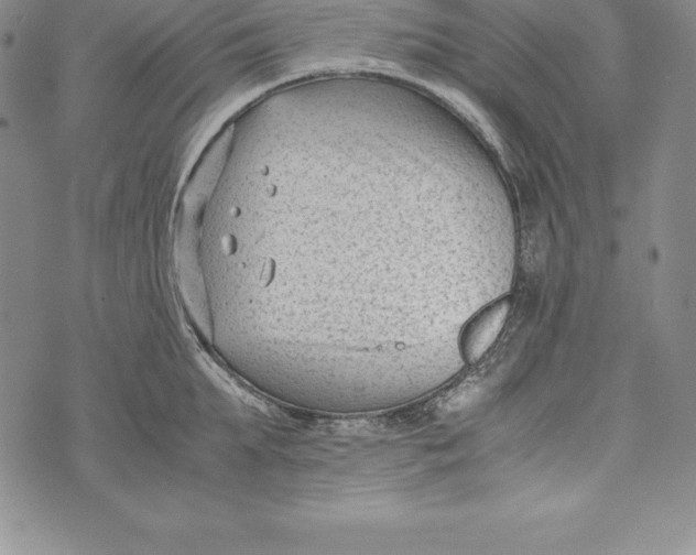 X0000072500903200608041438