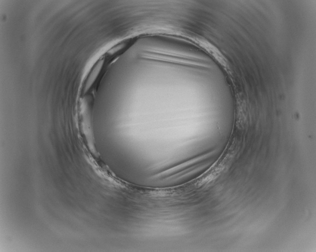 X0000072500904200608041438