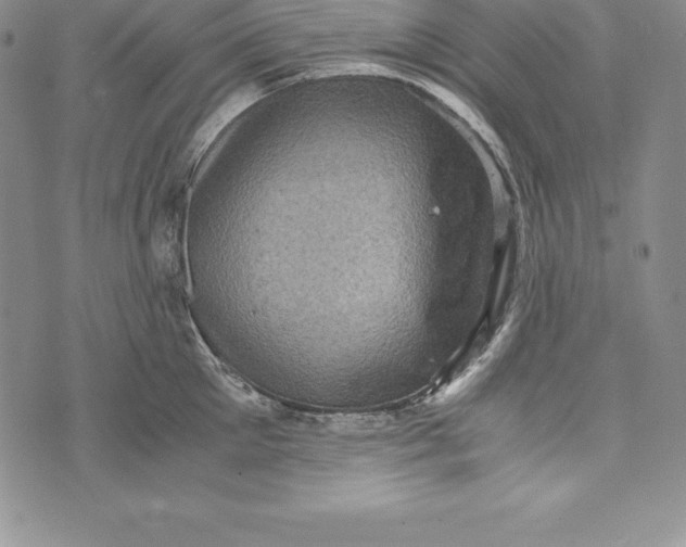 X0000072500905200608041438