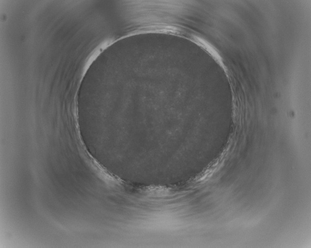 X0000072500907200608041438