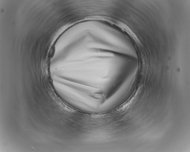 X0000072500908200608041438