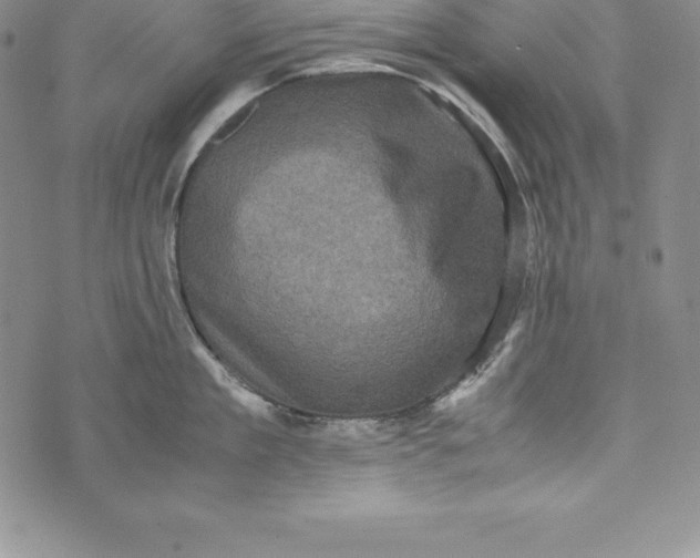 X0000072500909200608041438