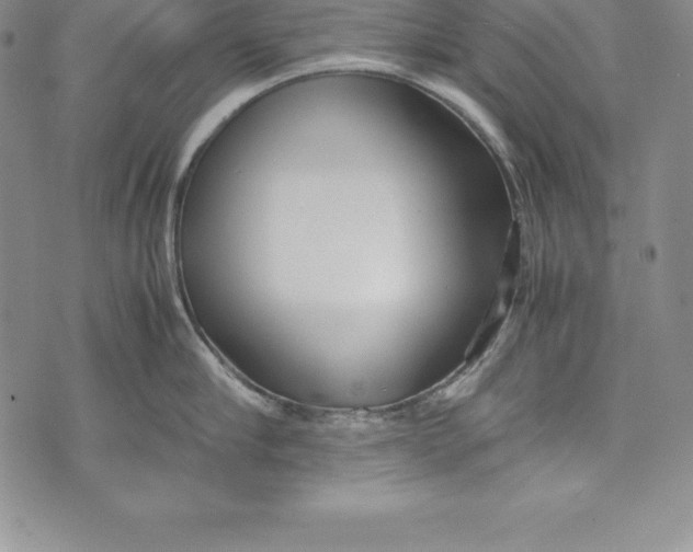 X0000072500910200608041438